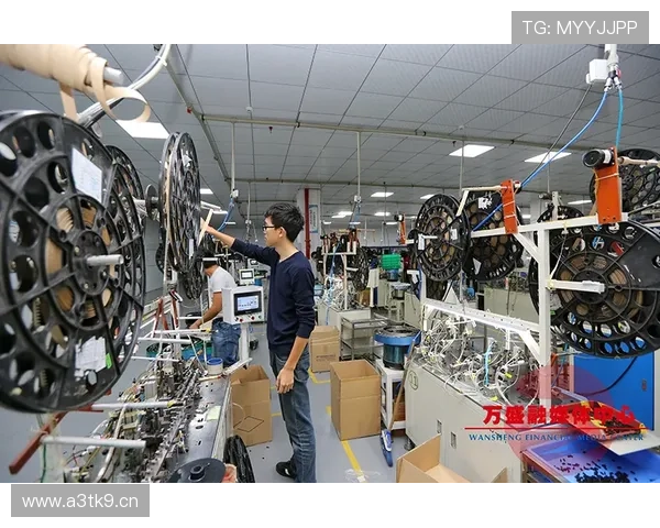 桥头企业家引领地方经济转型与创新发展之路 桥头企业家引领地方经济转型与创新发展之路